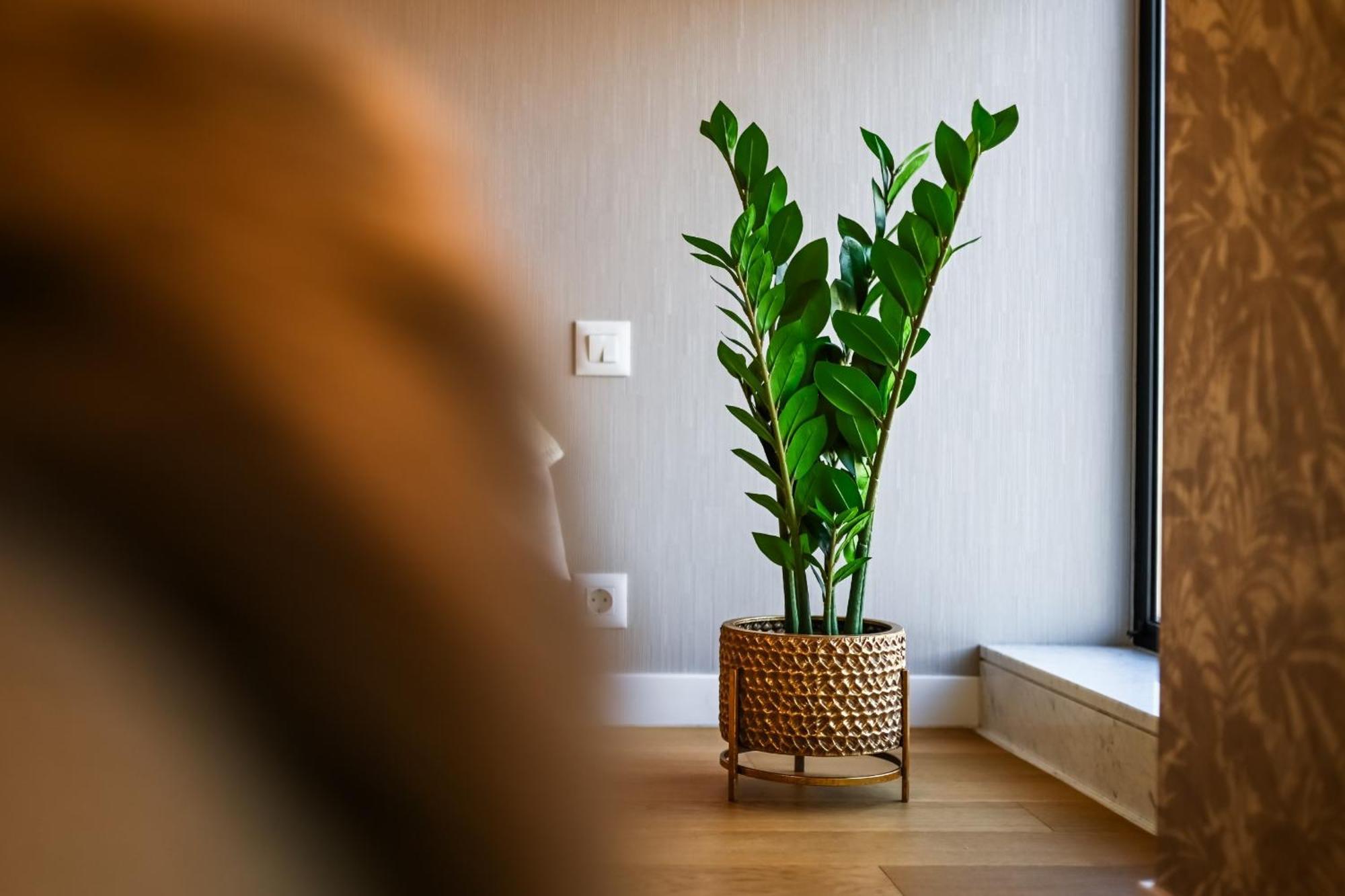 One Verdi Park Exclusive Apartments - Panoramic View & Private Parking 布加勒斯特 客房 照片